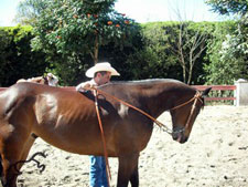 Mexico-Sierra Occidental-Mexican Equestrian and Horse Clinic